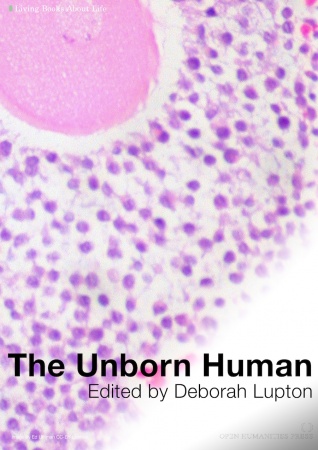 318px-Unborn_human_3